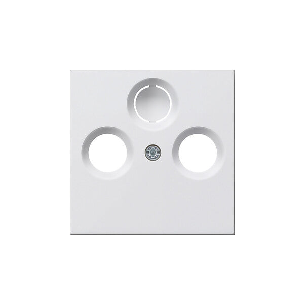 Gira Zentralplatte rws-gl für Koax-Steckdose 086903
